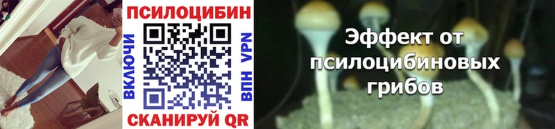 Псилоцибиновые грибы MAGIC MUSHROOMS  магазин  наркотиков  Нижнекамск 